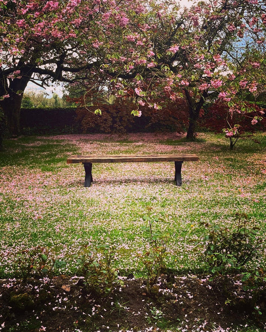 Rustic Reclaimed Bench